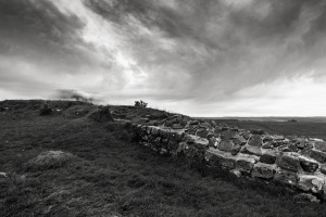 A-sheep-on-Hadrians-Wall-Northumberland