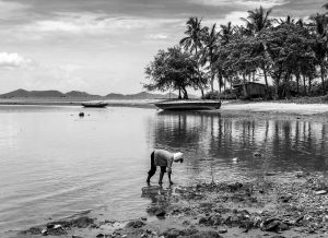 Beachcomber-Rabbit-Island-Cambodia