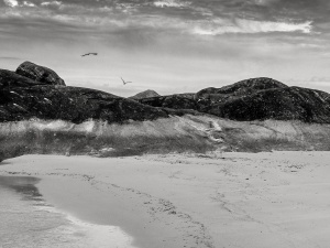 Birds-flying-over-rocks-on-the-beach-South-Western-Australia