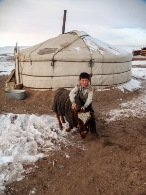 Boy-with-Calf-outside-ger-Gobi-Desert-Mongolia