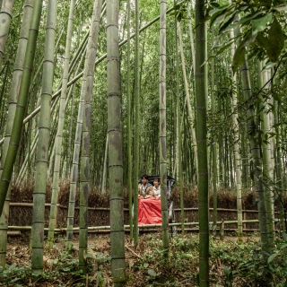 Couple-in-rickshaw-Sagano-Bamboo-forest-Kyoto-Japan