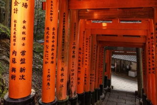 Descending-steps-under-Torii-gates-at-Fushimi-Inari-Shrine-Kyoto-Japan