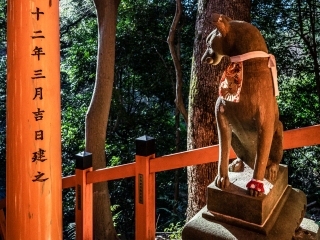 Dog-scuplture-at-Fushimi-Inari-Shrine-Kyoto-Japan
