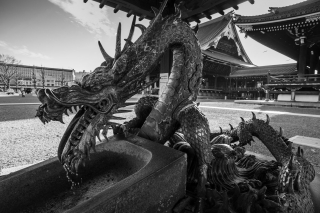 Dragon-Ryukokuzan Hongan-ji-Nishi-Hongan-ji-Temple-Kyoto-Japan