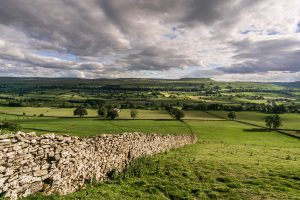 Dry-stone-wall-into-the-distance-Wensleydale-Yorkshire-Dales