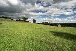 Field-barn-Wensleydale-Yorkshire-Dales