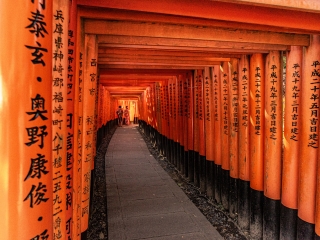 Girls-in-Kimono-under-torii-gates-Fushimi-Inari-Shrine-Kyoto-Japan