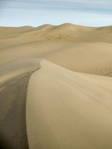 Dunes of the Gobi