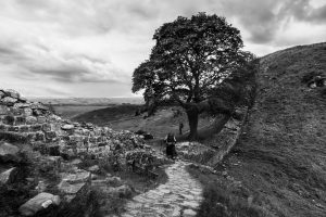 Hikers-at-Sycamore-Gap-Hadrians-Wall-Northumberland-England
