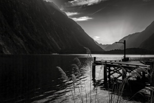 Jetty-Milford-sound-Fiordland-New-Zealand