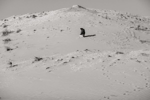 Kneeling-figure-on-Khongor-sand-dunes-of-the-Gobi-Desert-Mongolia