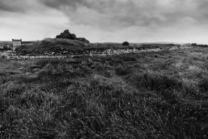 Longrass-at-Birdoswald-Fort-Hadrians-Wall-Cumbria-England