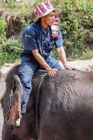 Mahout-sat-on-elephant-Hongsa-Laos