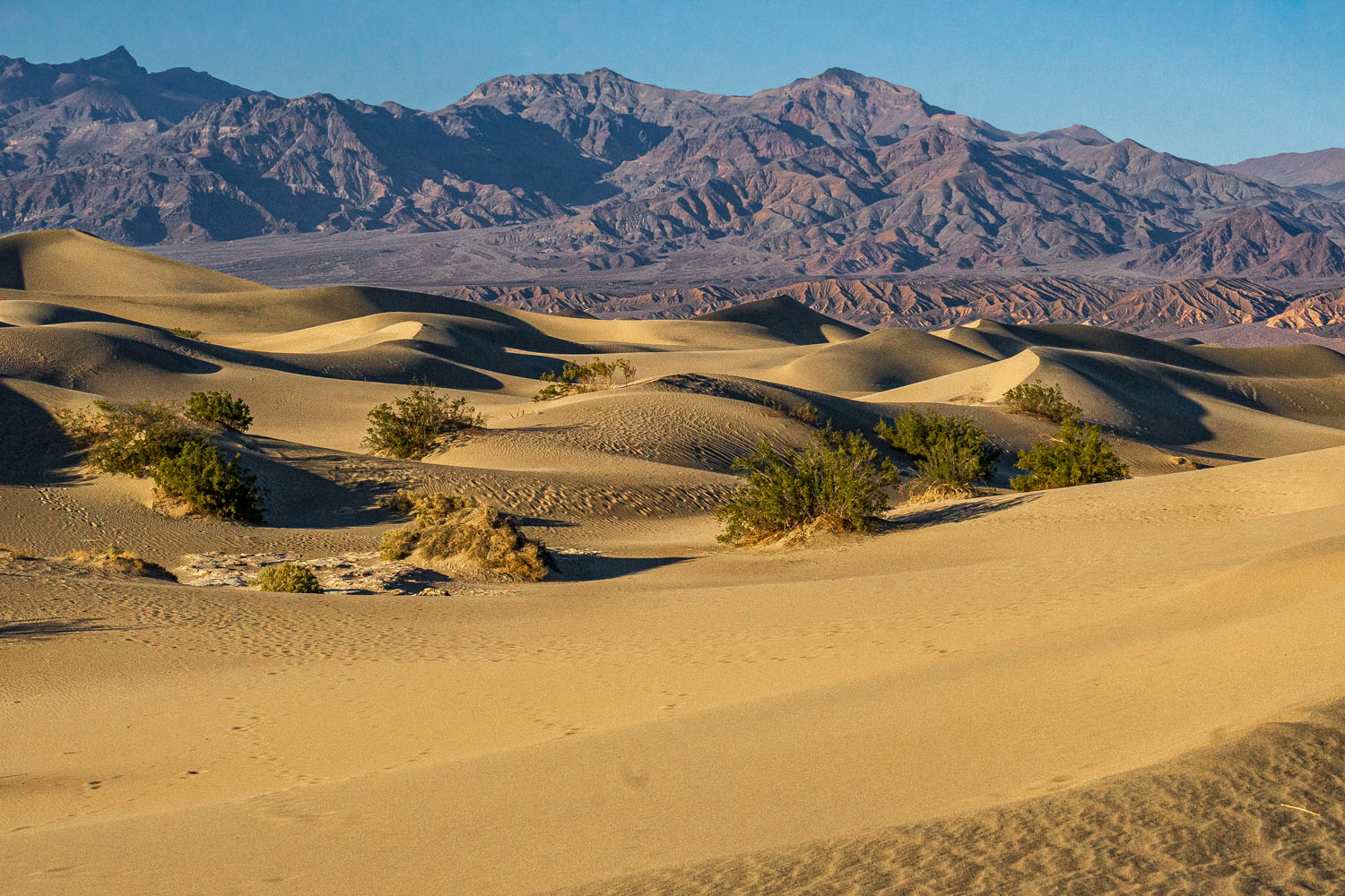 Mesquite-flat-sand-dunes-Death-Valley-California-USA - WEMOOCH