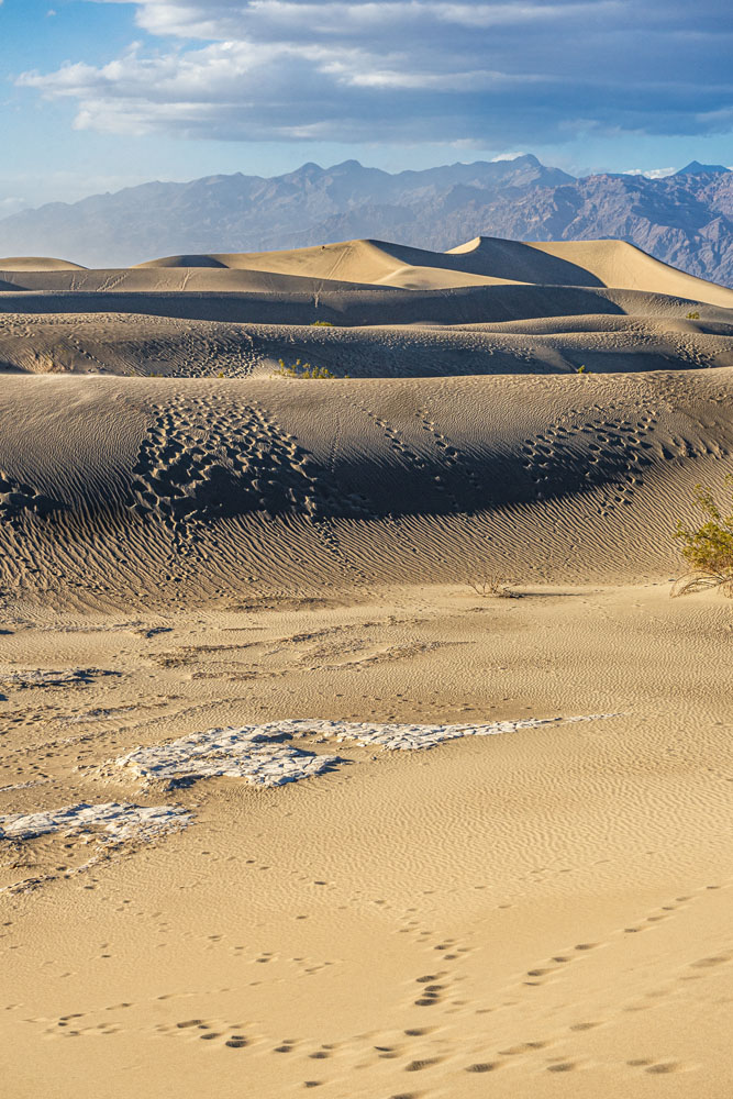 Mesquite-flat-sand-dunes(1)-Death-Valley-California-USA - WEMOOCH