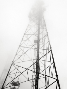 Mist-on-elctricity-pylon-Cameron-Highlands-Malaysia