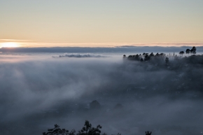 Misty-Dawn-Christchurch-New-Zealand