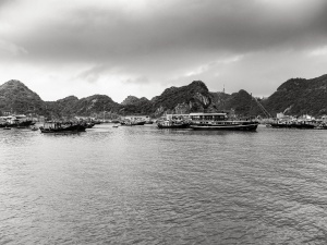 Moored-boats-Cat-Ba-Island-Vietnam