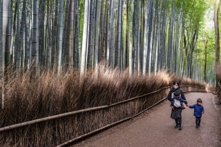 Mother-and-children-at-Sagano-Bamboo-forest-Kyoto-Japan