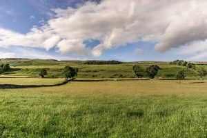 Open-fields-Wensleydale-Yorkshire-Dales