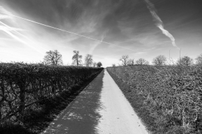 Path-to-Wentworth-Woodhouse-Rotherham-England