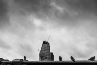 Pigeons-on-Millenium-Bridge-with-One-Blackfriars-Southwalk-building-in-background-London-England