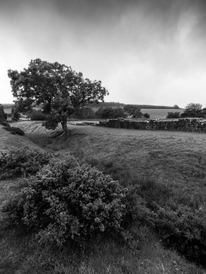 Remnants-of-Hadrians-Wall-at-Black-Carts-Turret-Northumberland-England