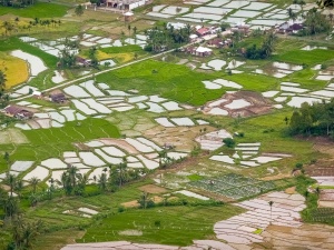 Rice-paddies-from-above-1-Lake-Maninjau-Indonesia