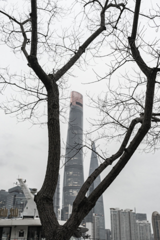 Shanghai-tower-framed-by-a-tree-China