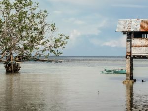 Shoreline-Tubigon-Bohol-Philippines