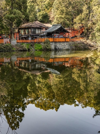 Shrine-reflected-in-lake-Fushimi-Inari-Shrine-Kyoto-Japan