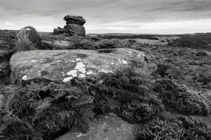 Stones-at-Derwent-Edge-Peak-District-Derbyshire