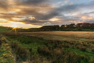 Sundown-North-York-Moors-Yorkshire-England