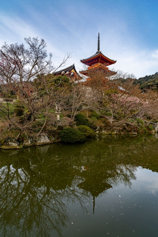 Temple-reflection-Kiyomizu-dera-shrine-Kyoto-Japan