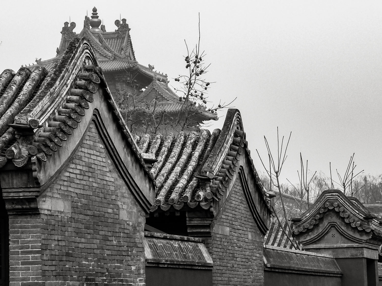 Temple-roofs-forbidden-city-beijing-china - Wemooch