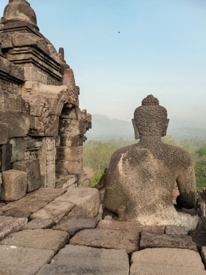 The-back-of-Budha-Borobudur-Java-Indonesia