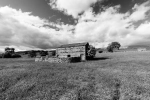 Traditional-field-barn-Wensleydale-Yorkshire-Dales