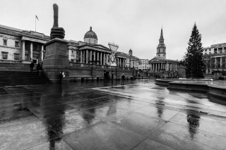 Trafalgar-square-at-Christmas-time-London-England