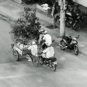 Transporting-goods-Nha-Trang-Vietnam