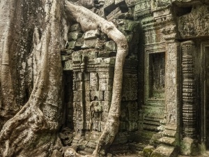 Tree-engulfing-Ta-Prohm-Angkor-Wat-Cambodia