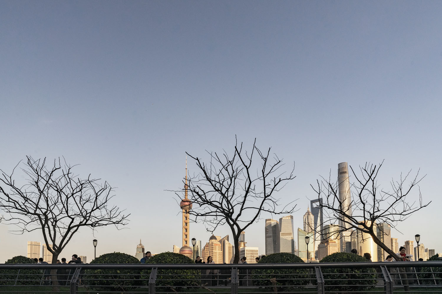 Tress-in-the-foreground-Shanghai-skyline-China