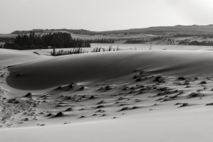 White-sand-dunes-of-Mui-Ne-Vietnam.jpg