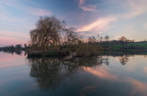 Willow-tree-reflected-Greasbrough-Dam-Rotherham-England