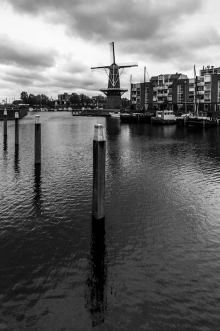 Windmill-on-estuary-Delfshaven-Rotterdam-Netherlands