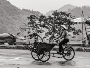 Woman-on-Tricycle-Cat-Ba-Island-Vietnam