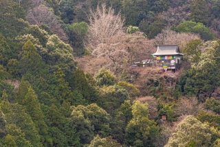 Wooden-house-in-mountains-Sagano-bamboo-forest-Kyoto-Japan