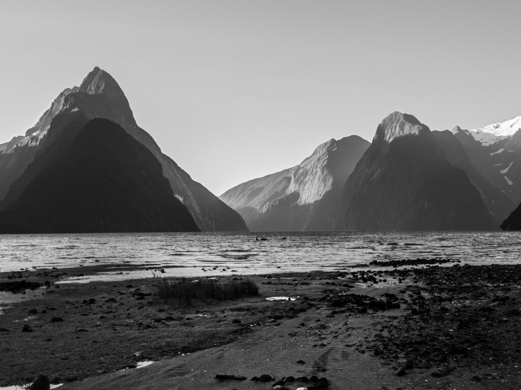 Foreshore view, Milford Sound, New Zealand