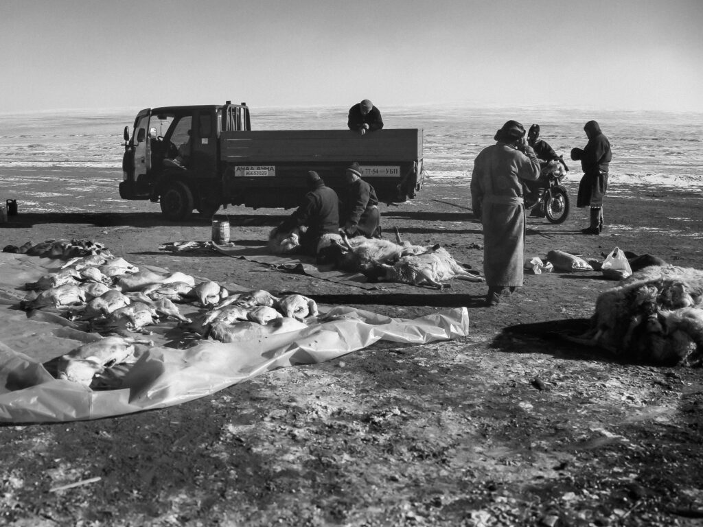 Butchers, Gobi Desert, Mongolia