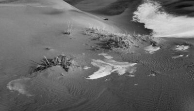 Khongor Dunes, Gobi Desert, Mongolia