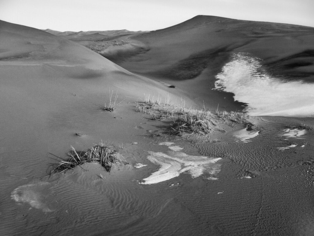 Khongor Dunes, Gobi Desert, Mongolia